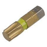 Wolfcraft Tin Torx No. 40 goud