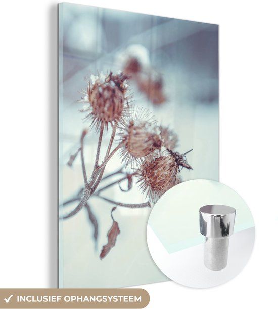 MuchoWow® Glass Painting 60x80 cm - Acrylic Glass Painting - Plants - Winter - Snow - Nature - Photo on Glass - Paintings