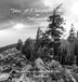 Trees: Libri GmbH Trees: A Photographic Study in Determination Hardcover