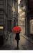 Your Decoration B.V. Kunstdruk Stefano Corso - Red Rain 61x96cm