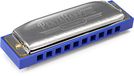 Hohner Pentaharp Harmonica, Sleutel van D Minor, Roestvrij staal (M21BX-DM)