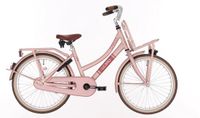 Hulzebos Cycle Parts B.V. Gransier Kinderfiets Meisje 20 inch BFN Cargo Load – Roze – Terugtraprem – 1 Versnelling – Meisjesfiets