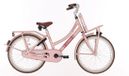 Hulzebos Cycle Parts B.V. Gransier Kinderfiets Meisje 20 inch BFN Cargo Load – Roze – Terugtraprem – 1 Versnelling – Meisjesfiets