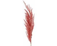 TopArt Pampasgras pluim losse steel/tak - oudroze - 100 cm - Decoratie kunst graspluimen