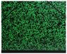 Exacompta 541200E Tekenmap Annonay voor DIN B4 met elastische sluiting. Van extra sterk karton 3 cm rugbreedte zwart-groen gemarmerd, ideaal voor transport en bewaren