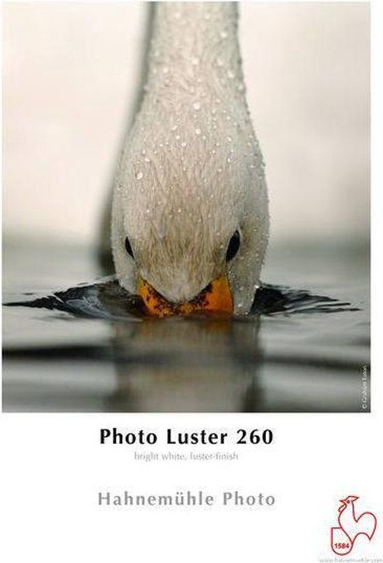 Hahnemuhle Photo Luster 260g Rol 1524mm x 30m