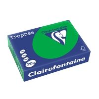Clairefontaine Gekleurd Papier Biljartgroen 210 grams A4 (250 vel)
