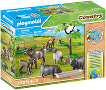 Playmobil 71307