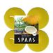 SPAAS 4 Maxi Theelichten Geur, ± 10 uur - Southern Citrus