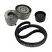 SKF Keilrippenriemensatz VKMA36038