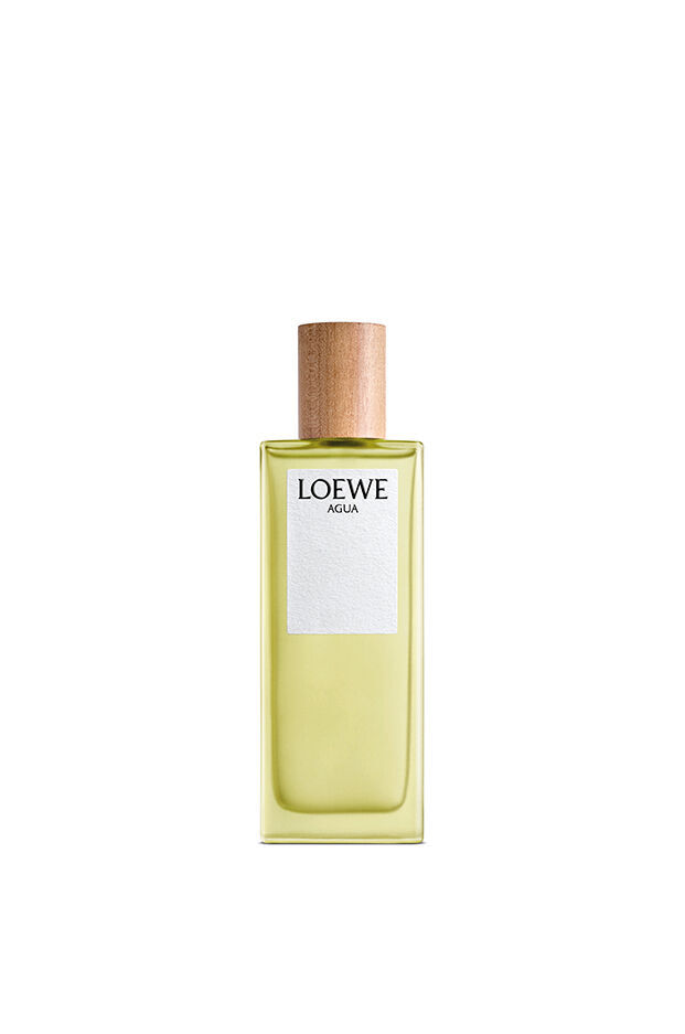 Loewe Agua De Eau de toilette 150 ml eau de toilette / 150 ml / dames