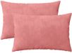 vidaXL Kussensloop 2 stuks Heerlen Roze 50 x 80 cm Fluweel