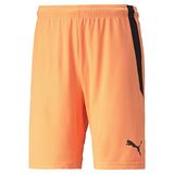 PUMA Teamliga herenshorts