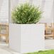 Maison Exclusive - Jardinière d'extérieur blanche, 70 x 70 x 68,5 cm, bois de pin massif