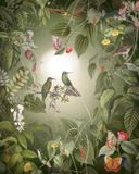 Komar Colours Fotobehang Wildlife Birds