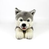 Fundación Bocalan Peluche Husky couché 25 cm