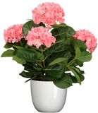 Mica Decorations Hortensia kunstplant 45 cm - roze - in pot wit glans