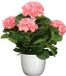 Mica Decorations Hortensia kunstplant 45 cm - rose - in pot wit glans