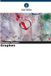 Graphen Verlag Unser Wissen Graphen Paperback