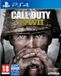 Activision Blizzard Entertainment Call of Duty World War 2 - PS4 - Standard Edition