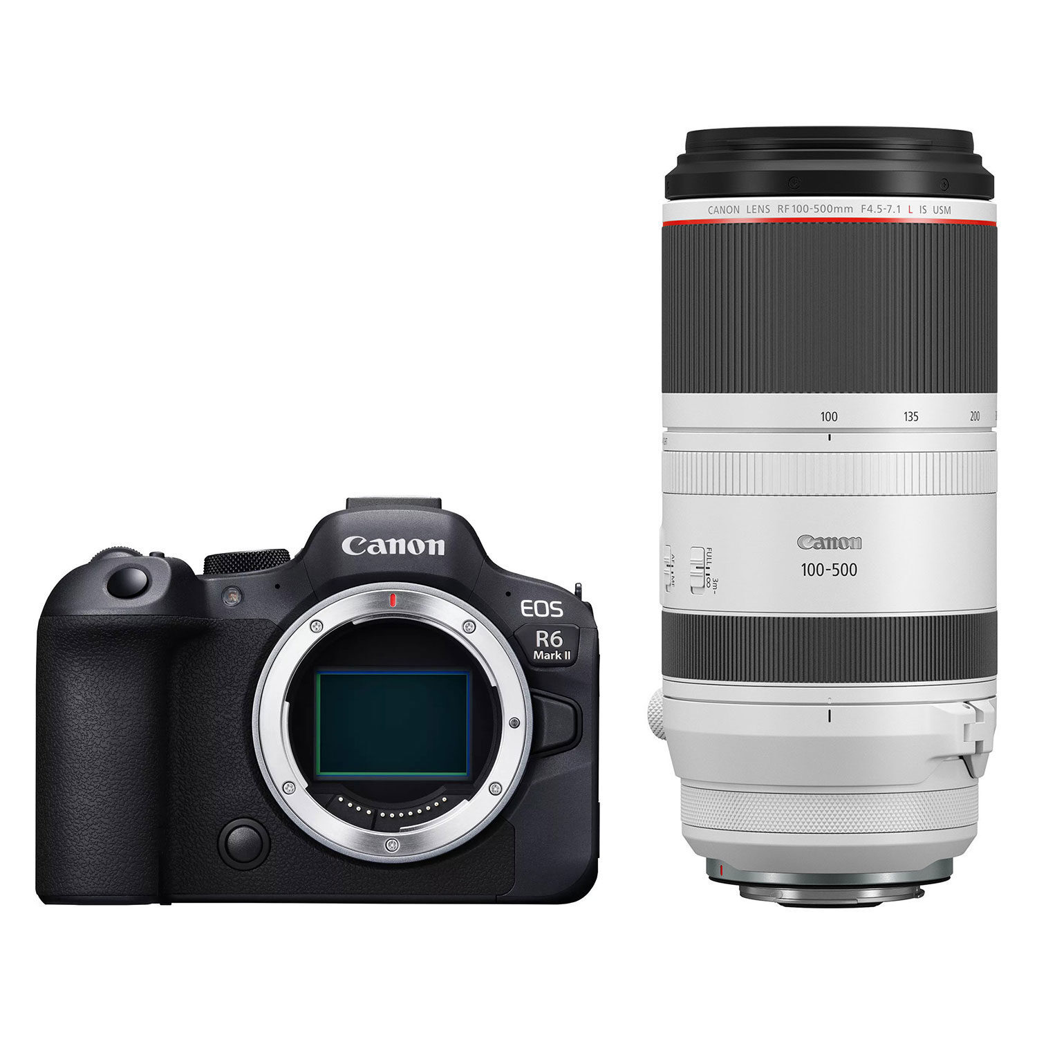 Canon Canon EOS R6 Mark II systeemcamera + RF 100-500mm f/4.5-7.1L IS USM