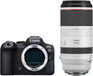 Canon EOS R6 Mark II + RF 100-500mm f/4.5-7.1L IS USM