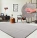 the carpet RELAX – Extra Zacht & Wasbaar Vloerkleed tot 30°C met Antislip Onderzijde – Fluweelachtige Structuur – Voor Slaapkamer of Woonkamer – Zilver, 60 x 110 cm