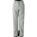 Dare 2b Ice Womens Ski broek Groen