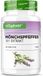 Vit4ever Monnikspeper Extract - 365 Capsules