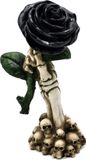 Puckator Skelet Hand Houdt Zwarte Roos ornament