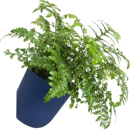 QUVIO Bloempot voor aan de wand - 15 cm - Donkerblauw