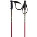 Volkl Bâtons Junior Phantastick