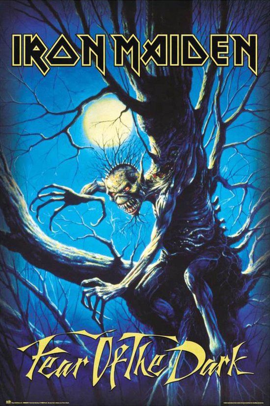 Grupo Iron Maiden Poster - Fear of the Dark 61x91.5cm