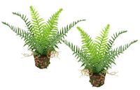 Kunstbosvaren Boston Kunstbosvaren in pot, 25 cm, set van 2