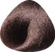 Toujours Trend Color 6.35 Dark Golden Mahogany Blonde