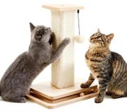 Arbre à chat - Griffoir - Double niveau - Piste de billes interactive - Surface de grattage en sisal - Plaque de base carrée stable - Boule pompon suspendue - XS, petit - Jaune