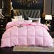 Dons Couette toutes saisons 59x79 pouce