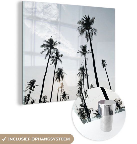 MuchoWow® Glass Painting 50x50 cm - Acrylic Glass Painting - Palm Trees - Summer - Tropical - Photo on Glass - Paintings