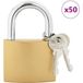 Ice Lock U Lock avec clés 50 pcs laiton fer