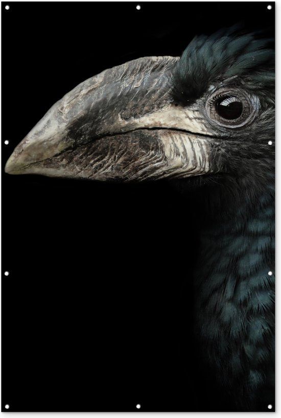 GreatGardenPosters Muurdecoratie Neushoornvogel Zwart 120x180 cm - Tuinposter
