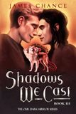 Shadows We Cast: An M/M Paranormal Shifter Romantic Fantasy: 3