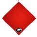 Team Golf NCAA Golfhanddoek van microvezel, uniseks, 15 x 15 cm