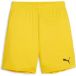 PUMA Unisex Teamgoal Shorts Jr Gebreide Shorts