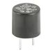 Schurter 0034.6004 Printzekering THT 0.10 A 250 V/AC Snel -F-