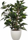 Mica Decorations Ficus kunstplant - groen - 40 cm - met plantenpot - taupe