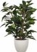 Mica Decorations Ficus plante artificielle - vert - 40 cm - avec pot de fleurs - taupe