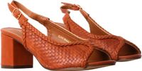 Poti pati Pumps oranje