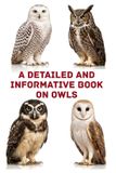 A Independently Published The Magnificent Raptor Family-A Detailed and Informative Book on Owls
