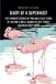 Diary Libri GmbH Diary of a Superhost. The funniest stories of two and a half years of hosting a small Airbnb in Cape Town's bohemian Deep South