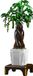 Mould King 10096 Money Tree arbre à argent kit de construction
